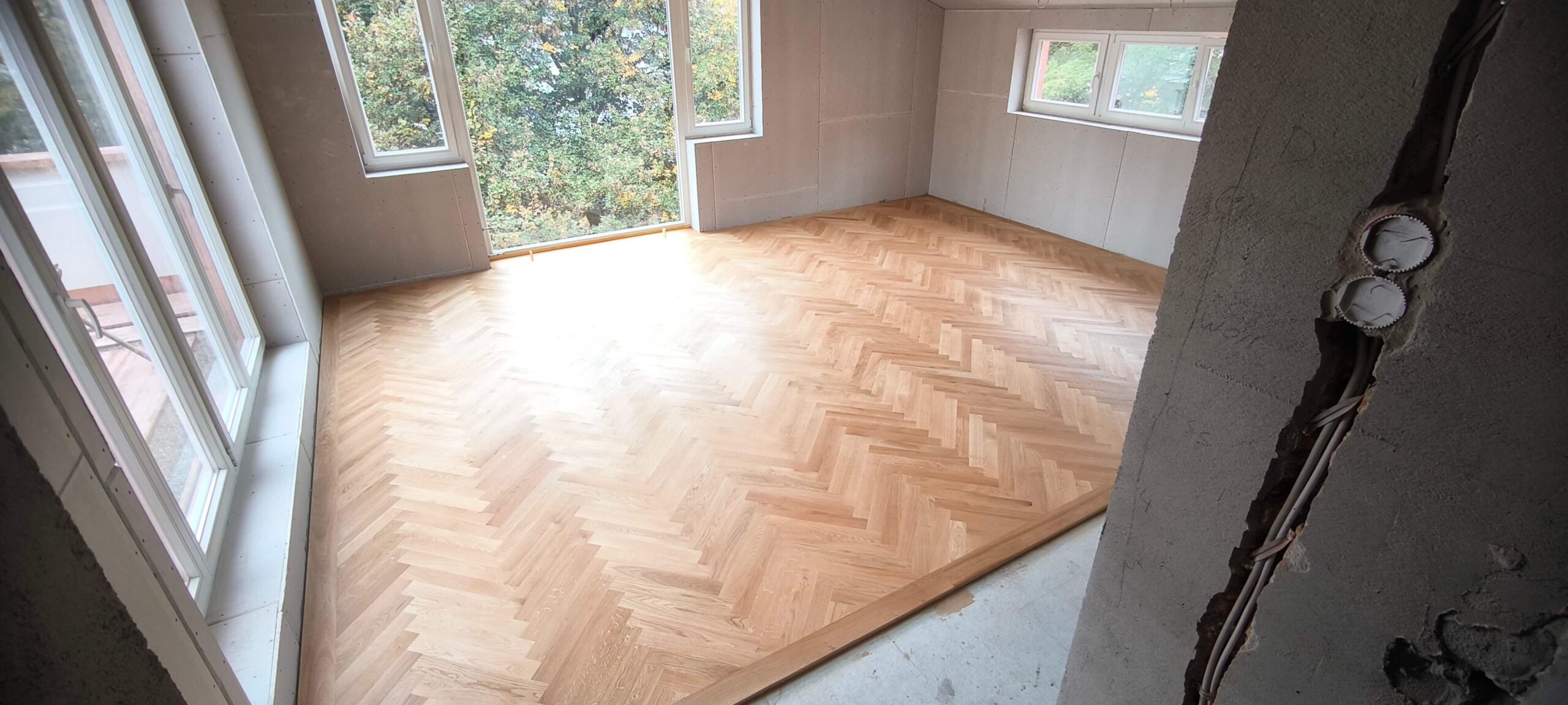 IMG_20241015_135407-1-scaled