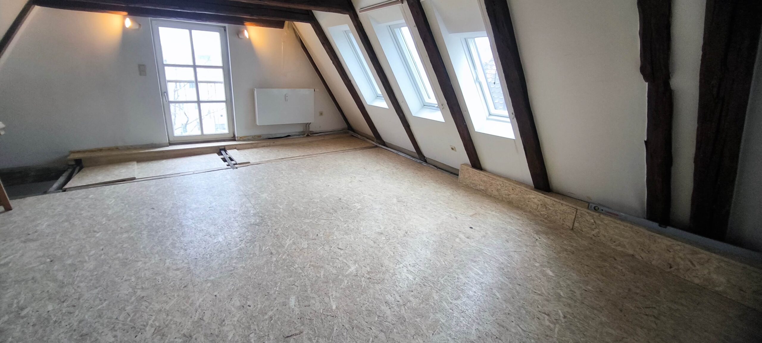 IMG_20250206_124402-scaled