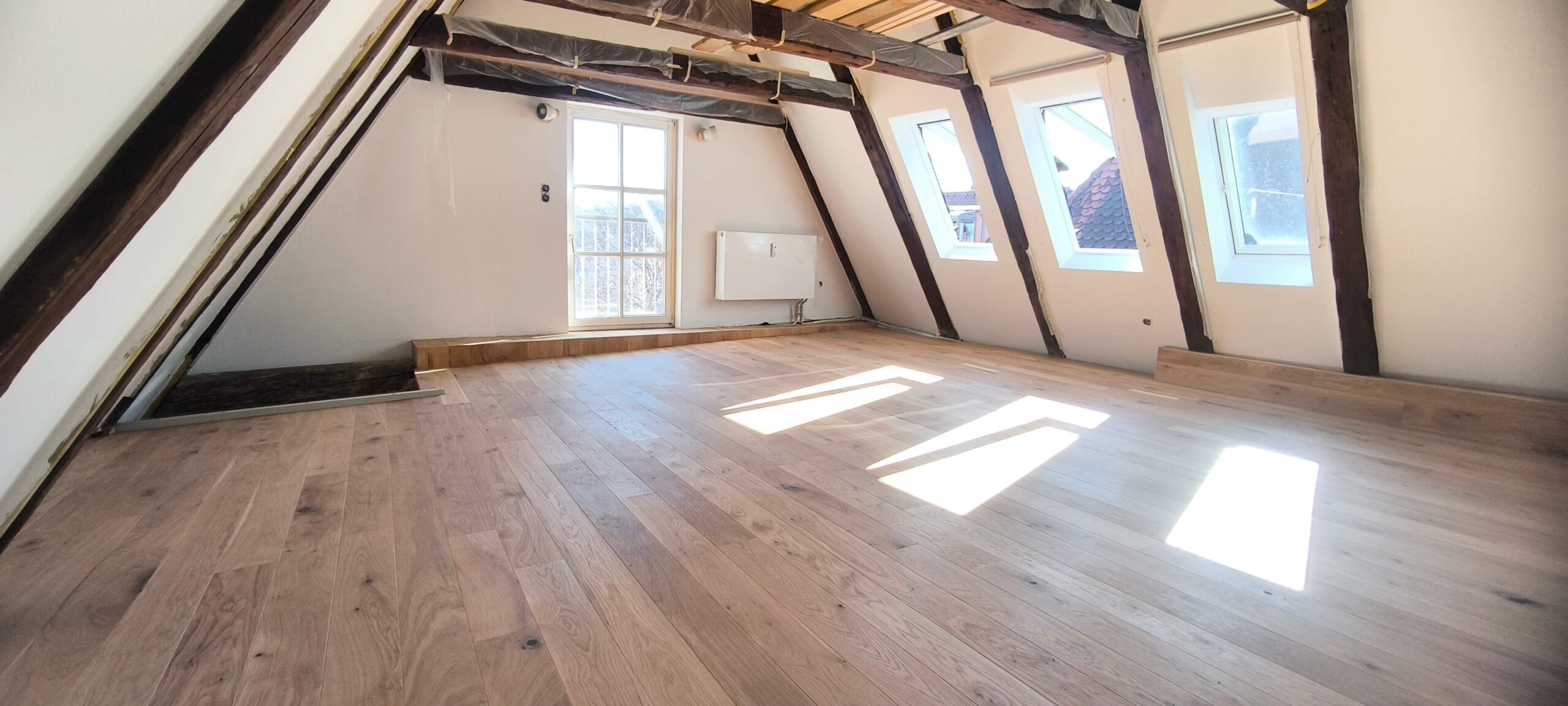 IMG_20250306_120603-scaled