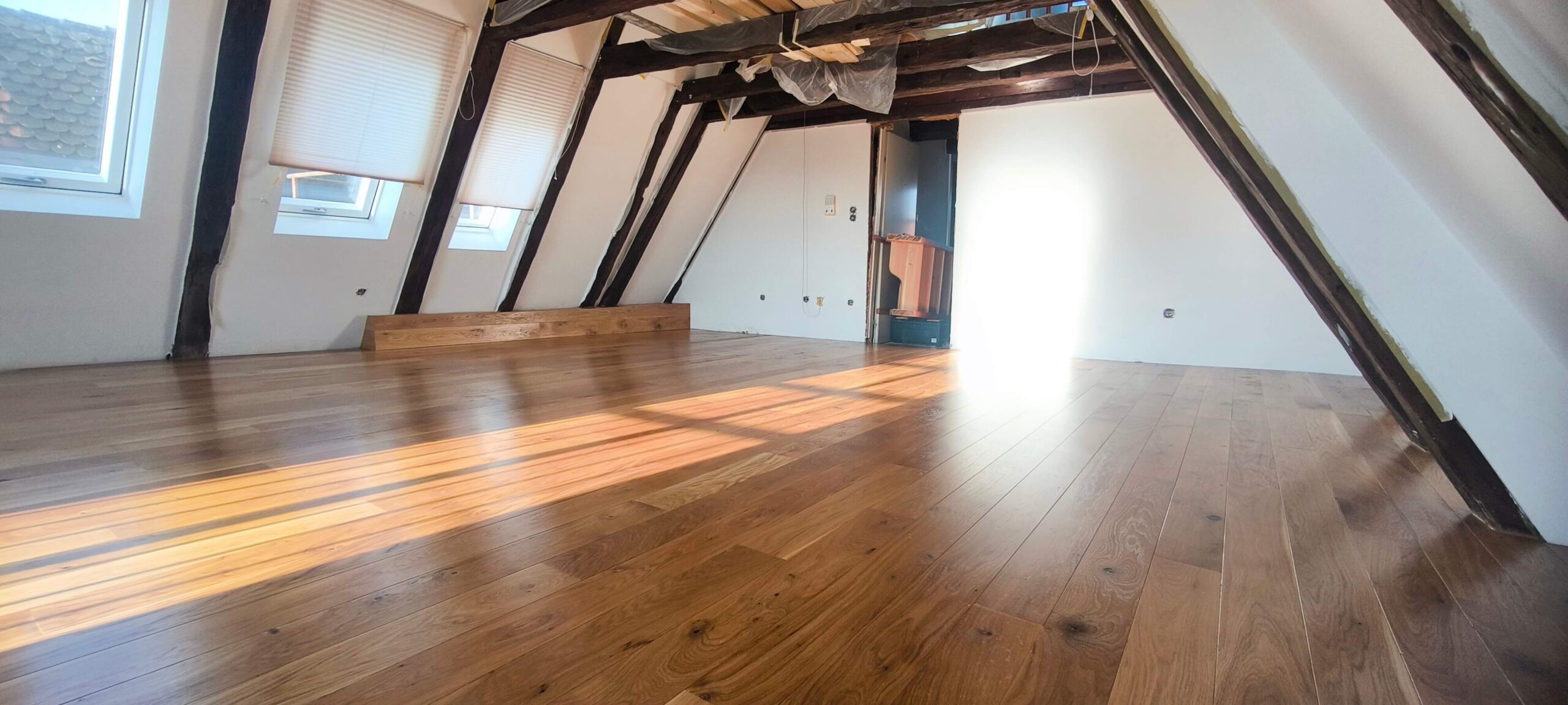 IMG_20250308_081804-1-scaled