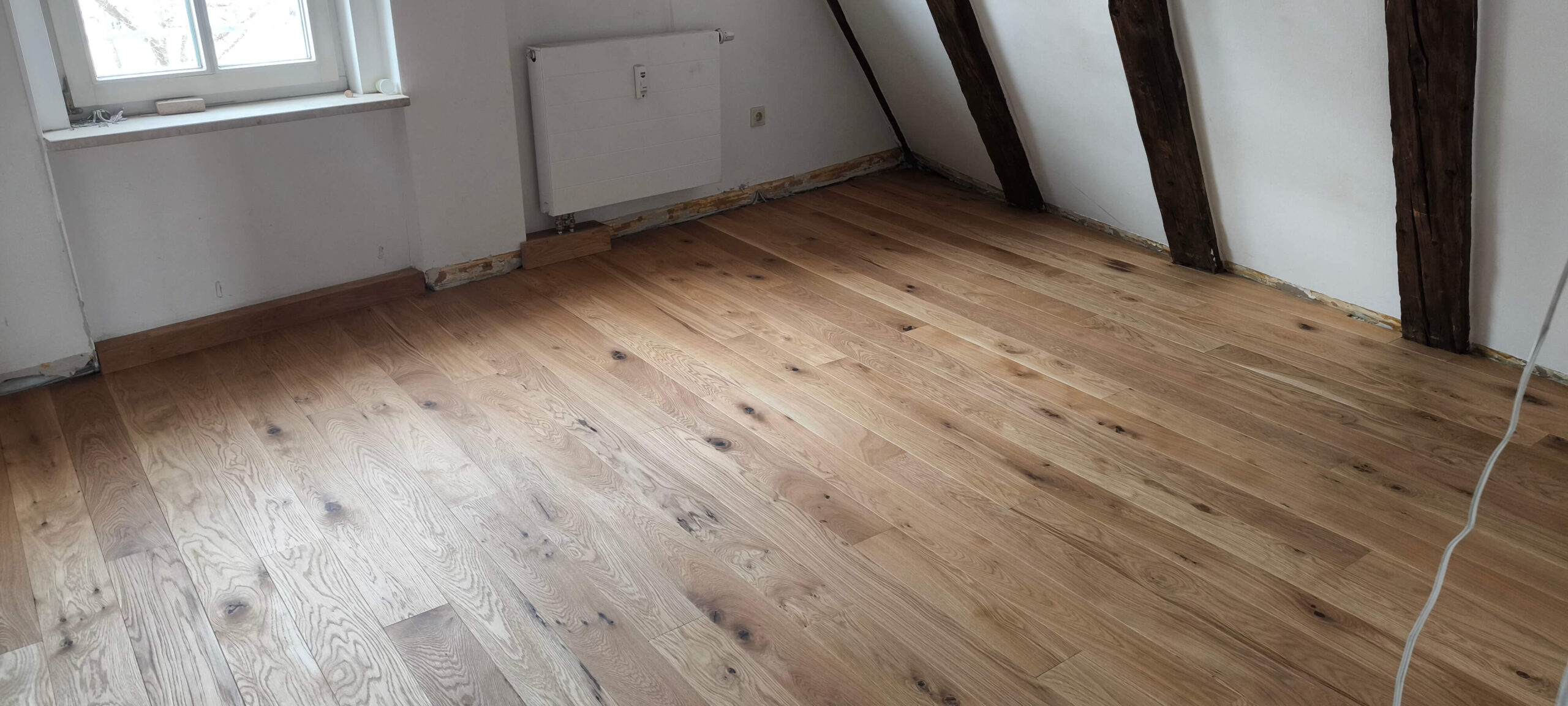 IMG_20250321_124521-scaled