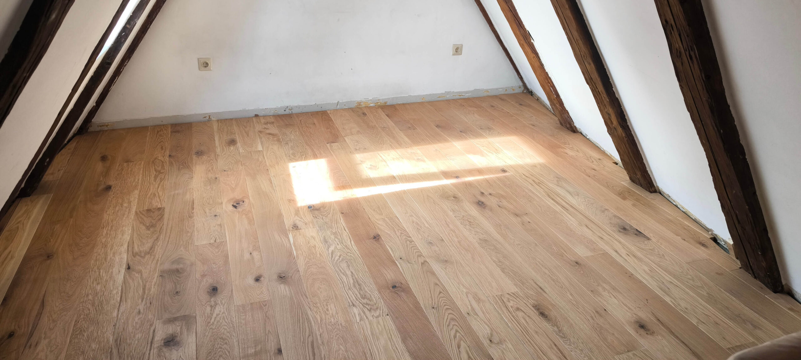 IMG_20250321_124611-scaled